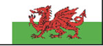 Wales Modern National Flag 10mm